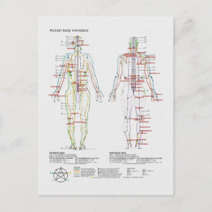 Schematische weergave van de Chinese of menselijke Briefkaart