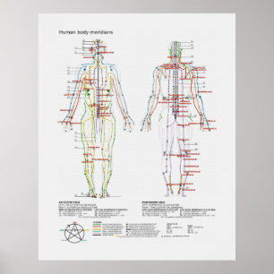 Schematische weergave van de Chinese of menselijke Poster