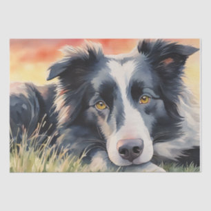 schemerharmonie: Border Collie Decoupage Tissuepapier