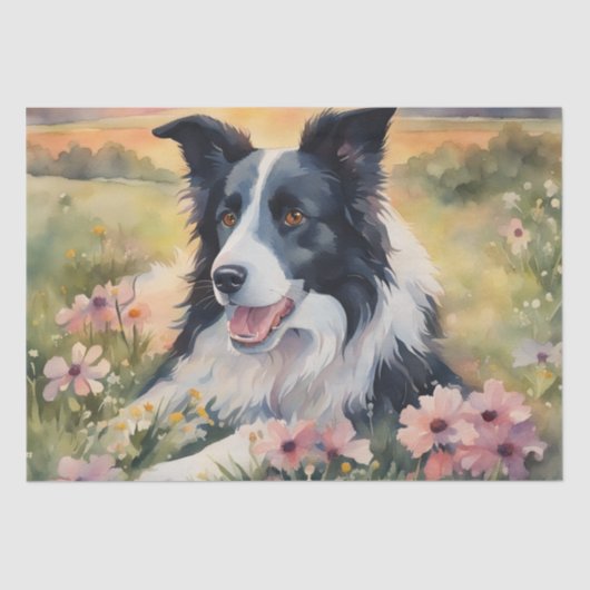 schemerharmonie: Border Collie Decoupage Tissuepapier (Voorkant)
