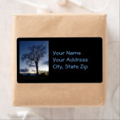 schemering bij de bomen in de Adresetiketten van d Etiket (Insitu)