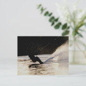 schemering briefkaart (Staand voorkant)