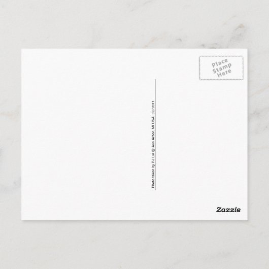 schemering briefkaart (Achterkant)