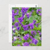 Schendingen van hout van de Wisconsin - Gepersonal Briefkaart (Voorkant / Achterkant)