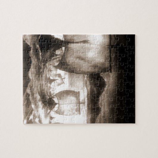 SCHEPEN VITEREN LEGPUZZEL (Horizontaal)