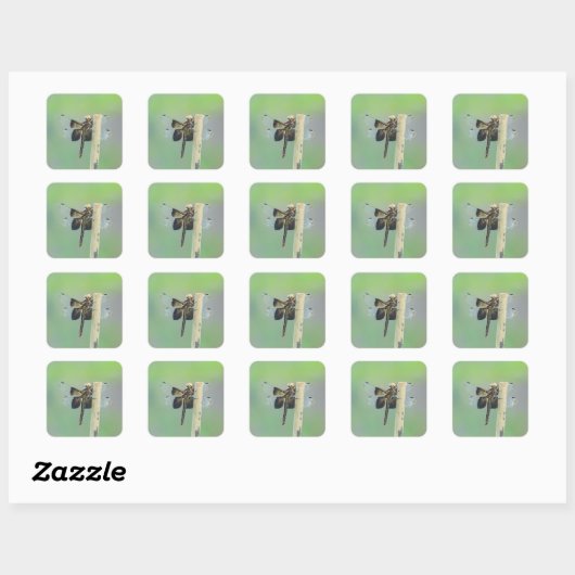 Schepnetvlinder Vierkante Sticker (Vel)
