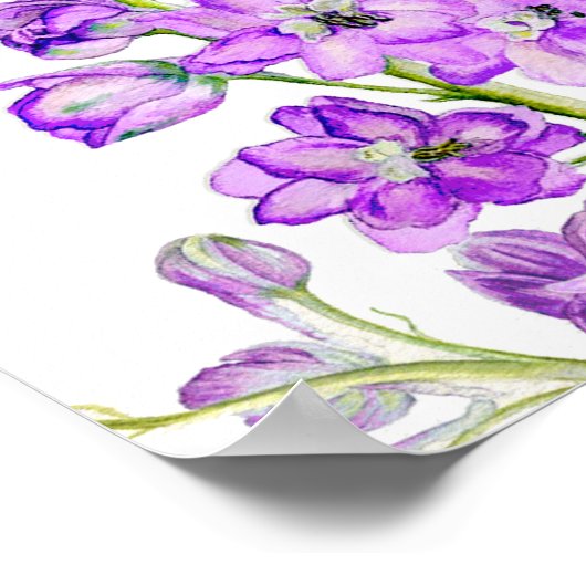 Scheppende paarse-weduwentafelplank poster (Hoek)