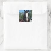 Schepper van het trekpaard show vierkante sticker (Tas)