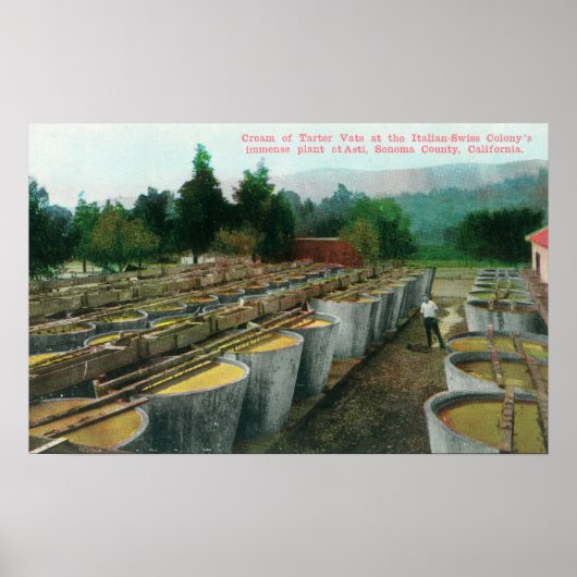 Schepper van het Uitzicht van Tartar Vats in het I Poster (Voorkant)