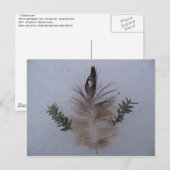 schepping briefkaart (Voorkant / Achterkant)