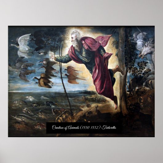 Schepping van dieren poster (Voorkant)