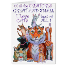 Schept een geweldige en kleine kat!