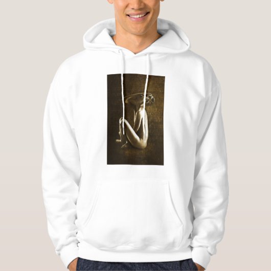 Scherm 2013 hoodie (Voorkant)