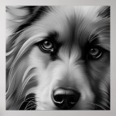 SCHERM TERRIER DOG BLACK EN WHITE POSTER (Voorkant)