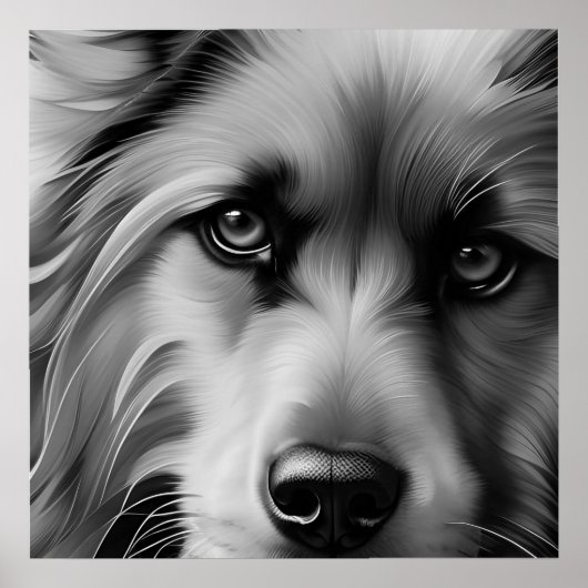 SCHERM TERRIER DOG BLACK EN WHITE POSTER (Voorkant)