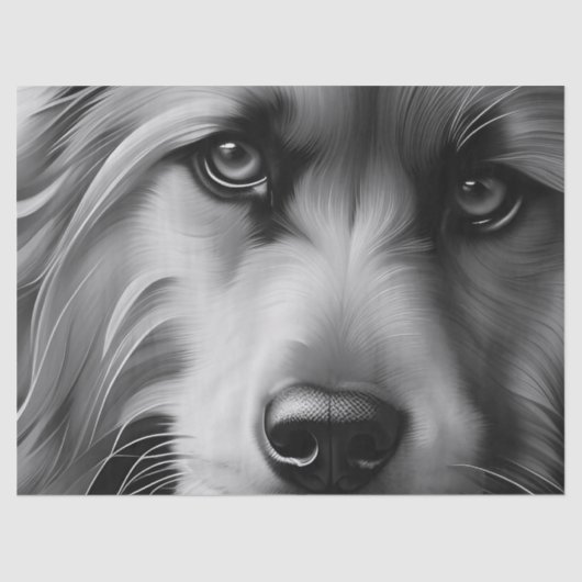 SCHERM TERRIER DOG BLACK EN WHITE TISSUEPAPIER (Voorkant)