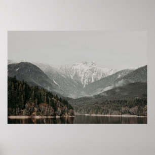 SCHERM VAN BOMEN EN MOUNTAIN POSTER