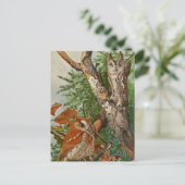 Schermboomkor (kleurfasen) briefkaart (Staand voorkant)