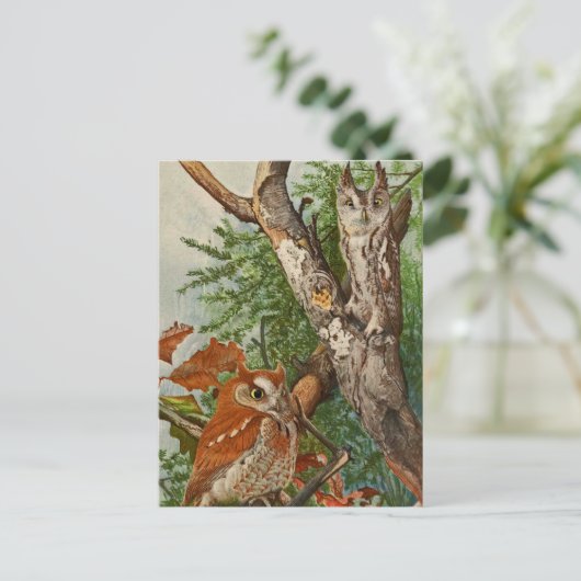 Schermboomkor (kleurfasen) briefkaart (Staand voorkant)