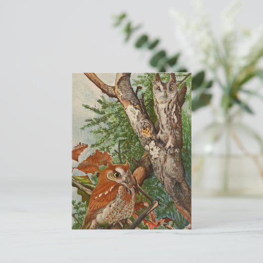 Schermboomkor (kleurfasen) briefkaart (Staand voorkant)