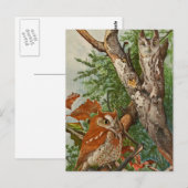 Schermboomkor (kleurfasen) briefkaart (Voorkant / Achterkant)