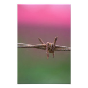 Scherpe kleuren. foto afdruk