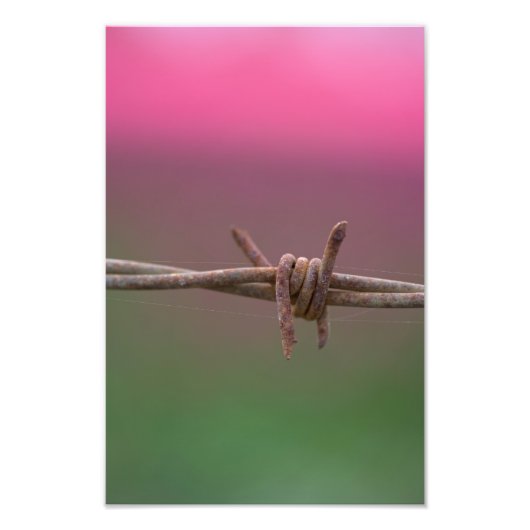 Scherpe kleuren. foto afdruk (Voorkant)