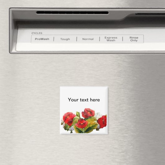 SCHERPELS MAGNEET (Insitu (Vaatwasser))