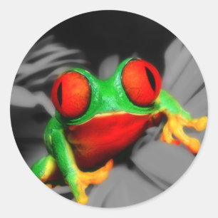 scherpziende kikker ronde sticker