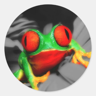 scherpziende kikker ronde sticker