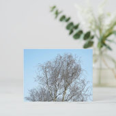 Schets boomvertakkingen briefkaart (Staand voorkant)