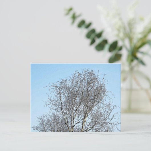 Schets boomvertakkingen briefkaart (Staand voorkant)
