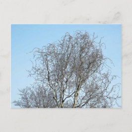 Schets boomvertakkingen briefkaart