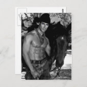 Schets:  Cowboy en paarden Briefkaart (Voorkant / Achterkant)