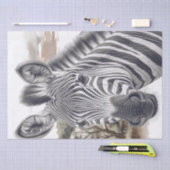 schets met Afrikaanse Zebra-potlood Tissuepapier (Craft)