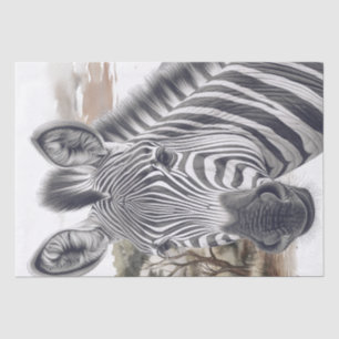 schets met Afrikaanse Zebra-potlood Tissuepapier