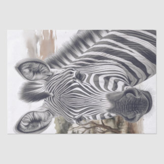 schets met Afrikaanse Zebra-potlood Tissuepapier