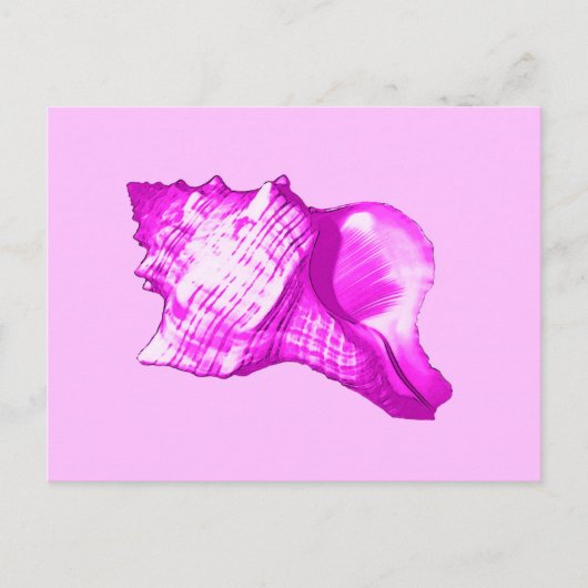Schets van de schelp van de inkeping - schoppen va briefkaart (Voorkant)