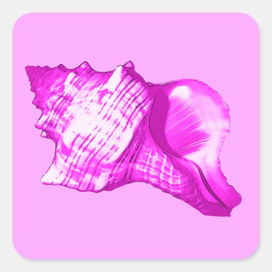 Schets van de schelp van de inkeping - schoppen va vierkante sticker (Voorkant)