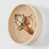 Schets van de schelp van de kegel - bruin, wit en  (Hoek)