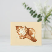 Schets van de schelp van de kegel - bruin, wit en  briefkaart (Staand voorkant)