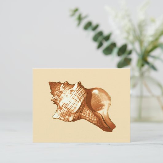 Schets van de schelp van de kegel - bruin, wit en  briefkaart (Staand voorkant)