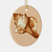 Schets van de schelp van de kegel - bruin, wit en  keramisch ornament (Rechts)