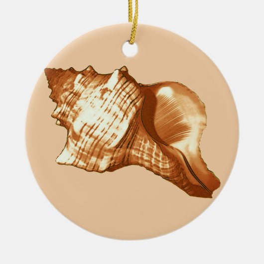 Schets van de schelp van de kegel - bruin, wit en  keramisch ornament (Voorkant)