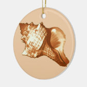 Schets van de schelp van de kegel - bruin, wit en  keramisch ornament (Links)