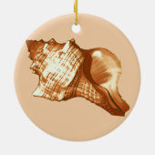 Schets van de schelp van de kegel - bruin, wit en  keramisch ornament (Achterkant)