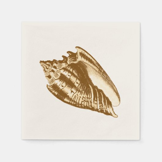 Schets van de schelp van de kegel - bruin, wit en servet (Voorkant)