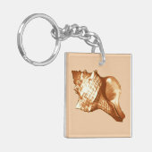 Schets van de schelp van de kegel - bruin, wit en sleutelhanger (Voorkant Links)