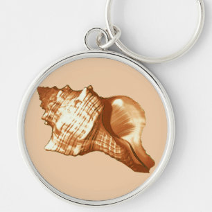 Schets van de schelp van de kegel - bruin, wit en sleutelhanger