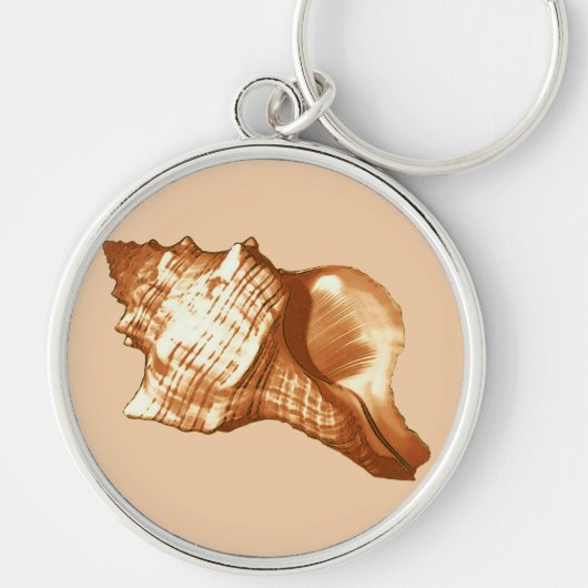 Schets van de schelp van de kegel - bruin, wit en  sleutelhanger (Voorkant)